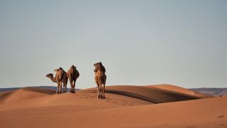 アフリカの国民総貯蓄率（GDP比）の動向と課題・将来展望