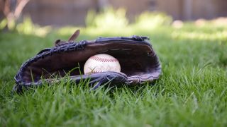 グローブ価格の地域差と推移｜高騰と値下がりの背景を徹底分析