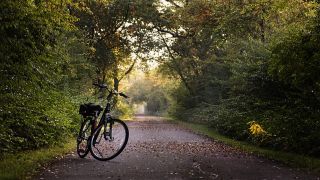 無職世帯の自転車購入費が激減、高齢化と安全意識が背景に