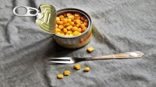 2025年最新｜野菜缶詰1kg小売価格の地域差と価格動向、今後の展望を解説