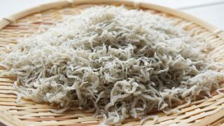 しらす干し100gの価格推移と地域差｜小売価格の今後を徹底解説