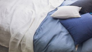 布団の世帯別支出と変動傾向：家族構成による違いと今後の予測