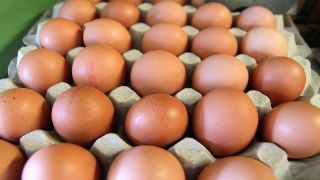 卵の都市別支出ランキング｜相模原・広島・神戸で顕著な伸び