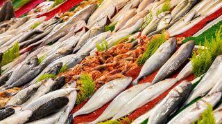 鮮魚の都市別支出ランキング：富山市・松江市が上位、地域差が顕著