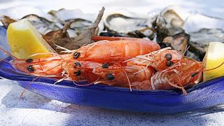エビの世帯支出ランキング：千葉・名古屋・松江が上位に躍進