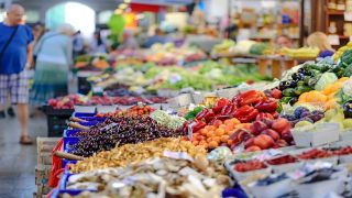 勤労世帯の月間食料費、都市差と今後の動向を徹底解説【2025年分析】