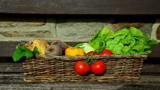 無職世帯の食料費の推移と都市別格差：2025年までの家計調査から分析