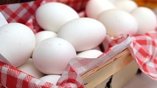 2025年鶏卵10個パックの小売価格動向と地域差、今後の価格推移予測